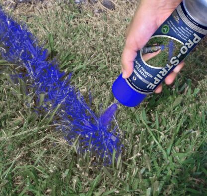 Pro-Stripe APWA Blue Inverted Marking Paint