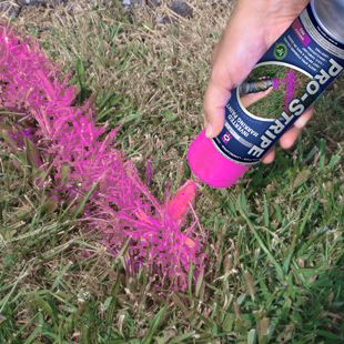 Pro-Stripe Pink Inverted Marking Paint